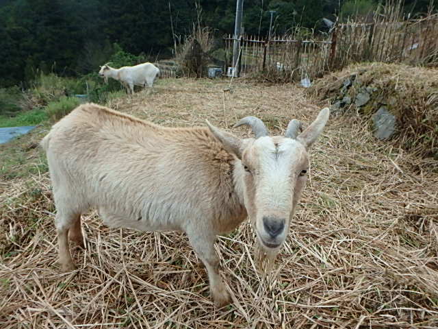 c0183137_9141628.jpg