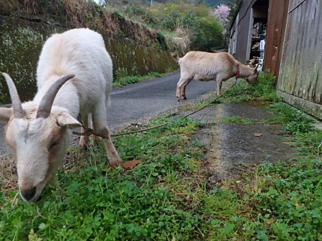 c0183137_9193779.jpg