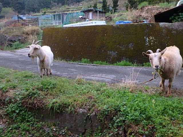 c0183137_9203860.jpg