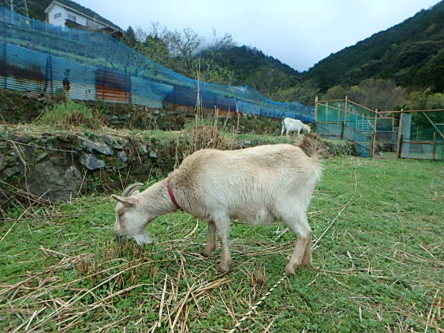 c0183137_941884.jpg