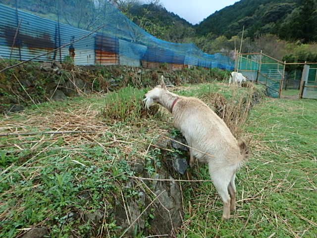 c0183137_955045.jpg