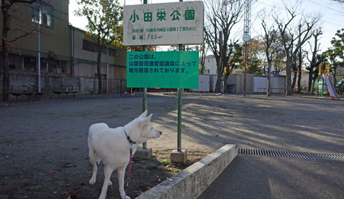 a0117039_018552.jpg