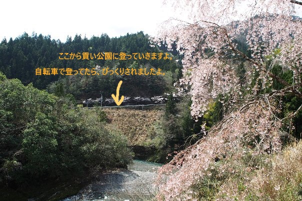 b0149340_20323056.jpg