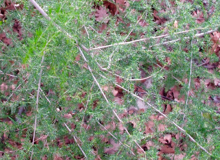 d0167041_5172221.jpg