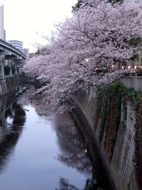 d0350542_10340140.jpg