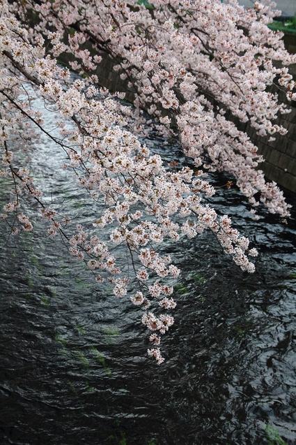 d0132743_10133957.jpg