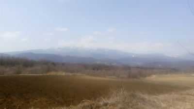 b0126549_19211770.jpg