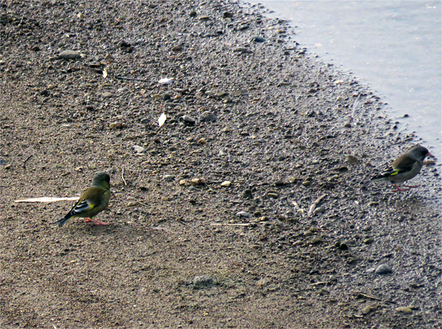f0214649_5551744.jpg