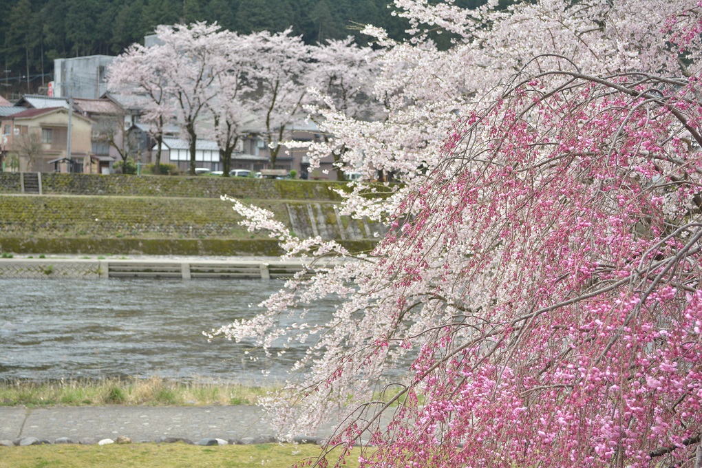 a0055650_18244869.jpg