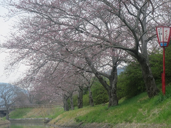 f0202151_22122666.jpg
