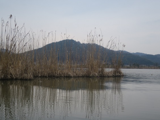 f0202151_22193046.jpg