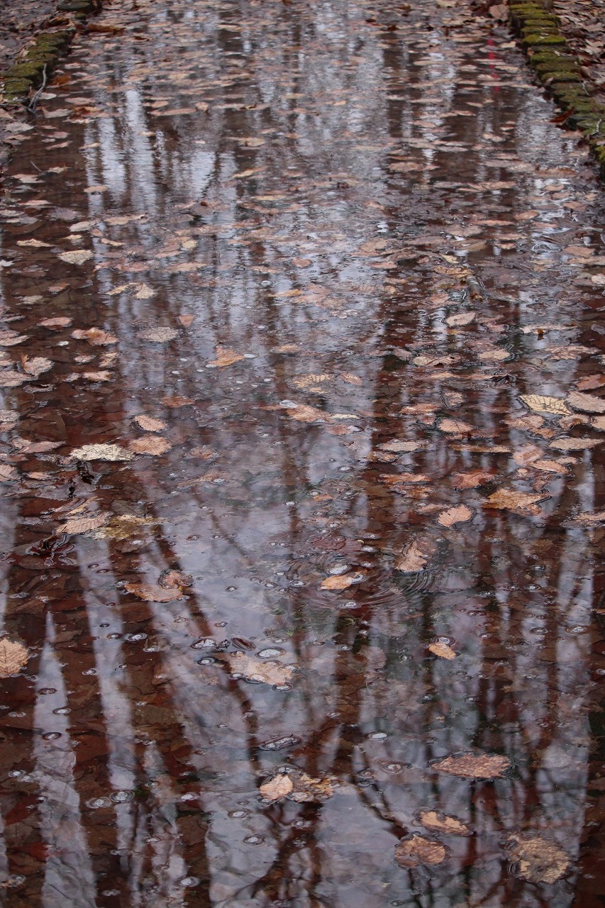 b0250154_20022359.jpg