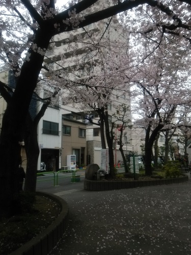 e0047657_1285558.jpg