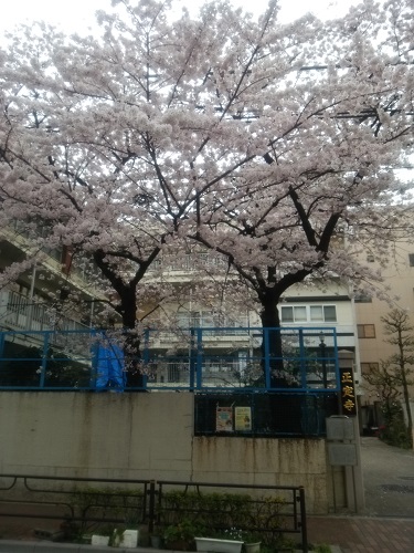 e0047657_1351429.jpg