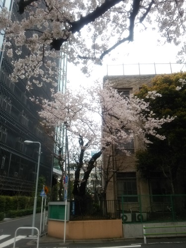 e0047657_1531510.jpg