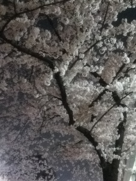 e0047657_2254029.jpg