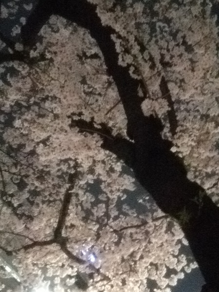 e0047657_2264071.jpg