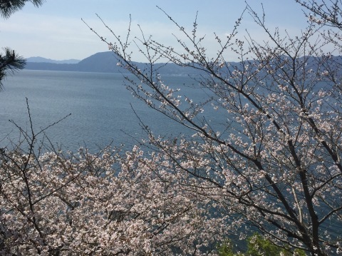 f0093563_19172250.jpeg