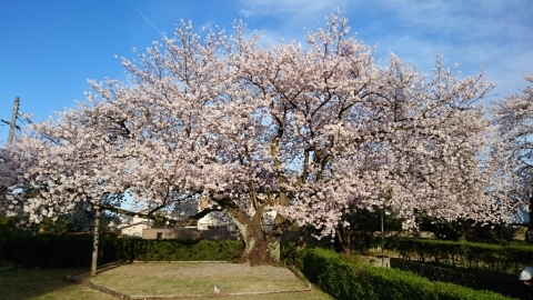 f0146466_20061012.jpg