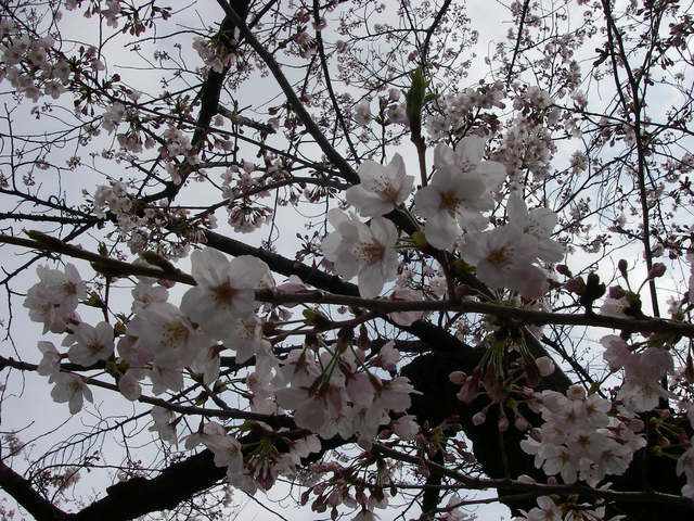 a0074069_00501299.jpg