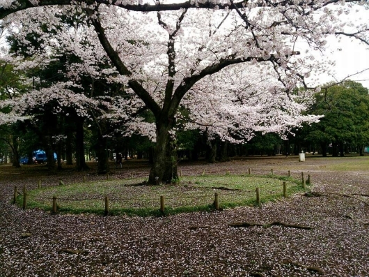 b0223370_08091428.jpg