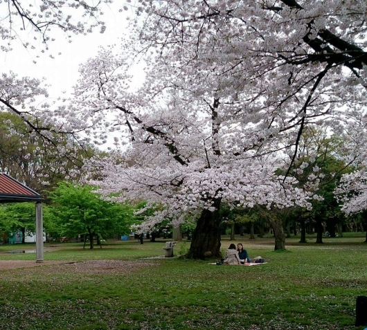 b0223370_08091856.jpg