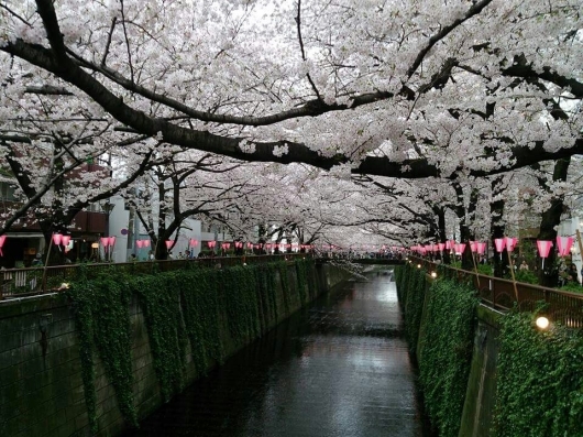 b0223370_08221113.jpg
