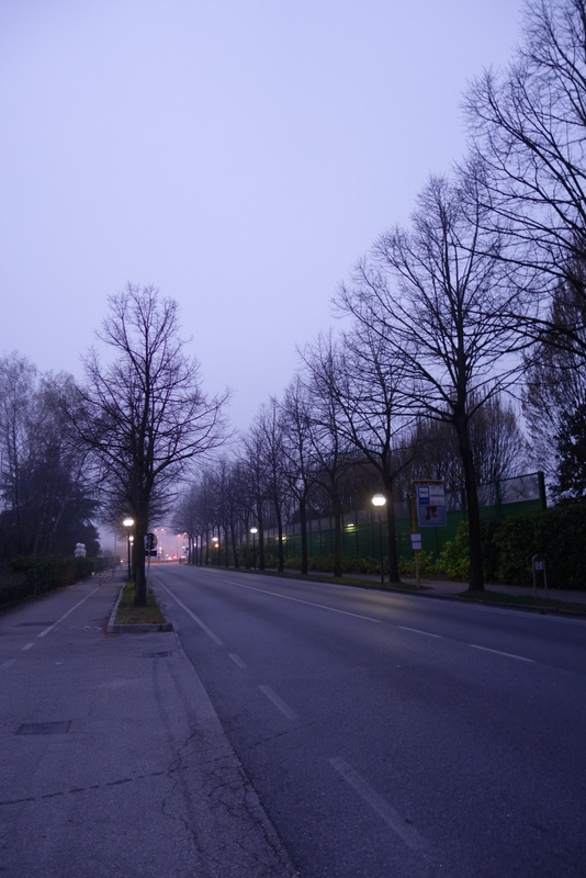c0216472_2046628.jpg