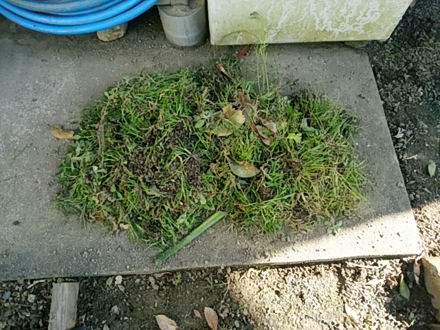 f0153475_15345150.jpg