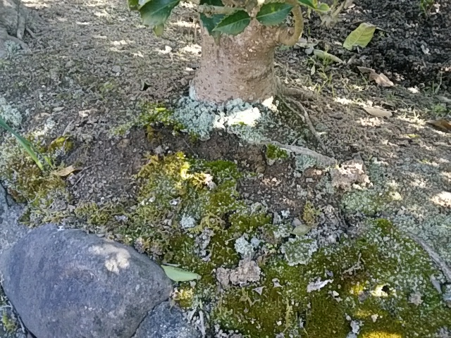 f0153475_15363297.jpg