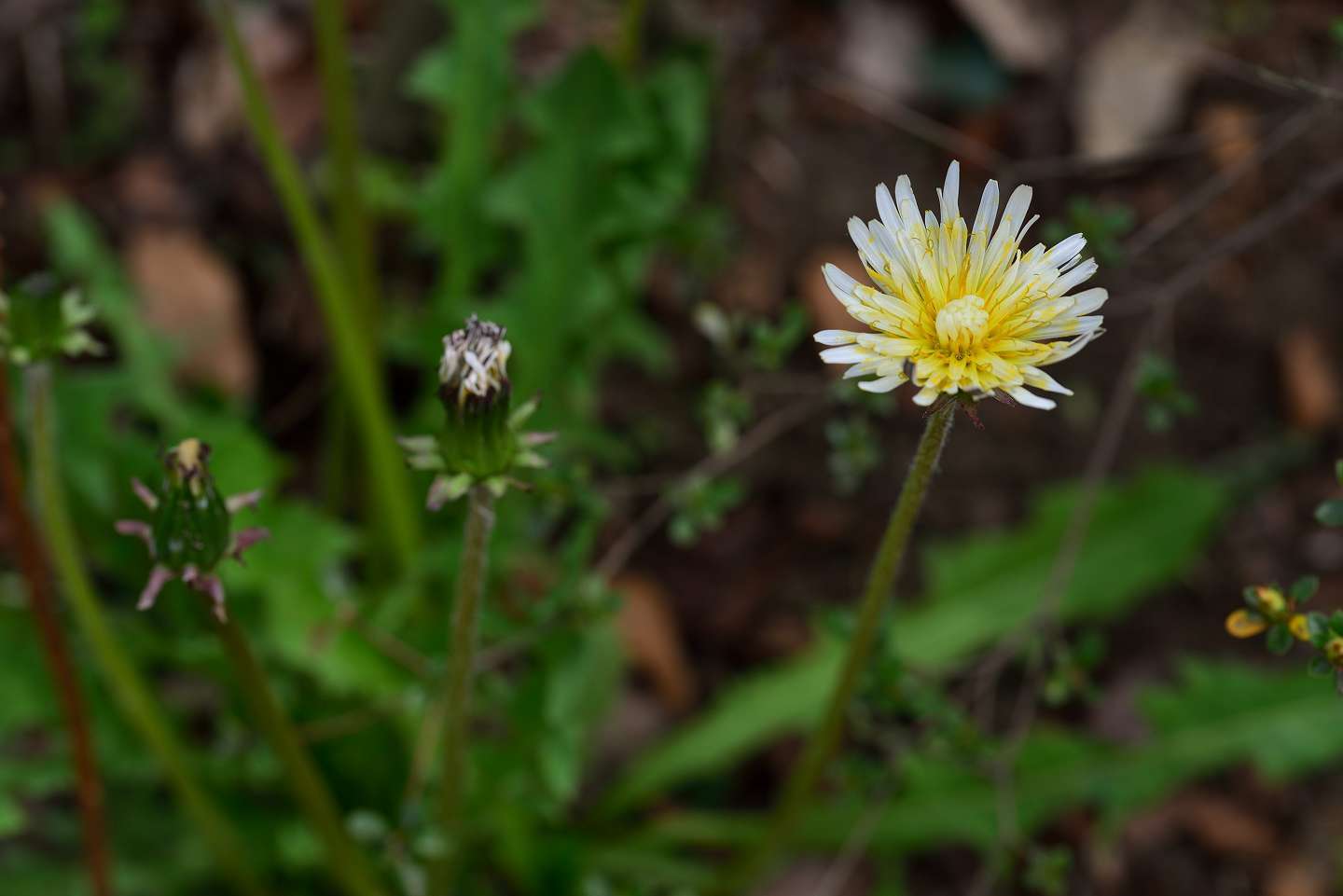 d0328977_16011891.jpg