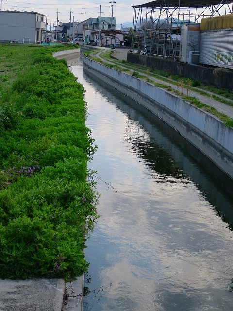 b0326483_00254200.jpg