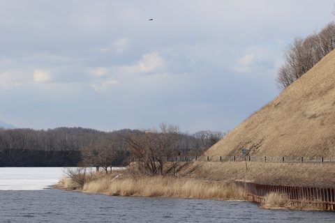 e0197884_2058442.jpg