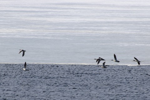 e0197884_2111464.jpg
