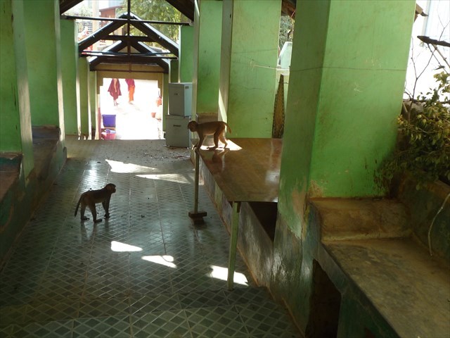 b0287088_16065262.jpg