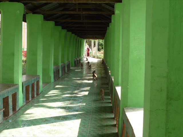 b0287088_16071425.jpg