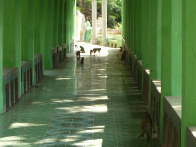 b0287088_16072565.jpg