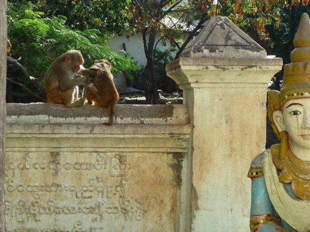 b0287088_16085775.jpg