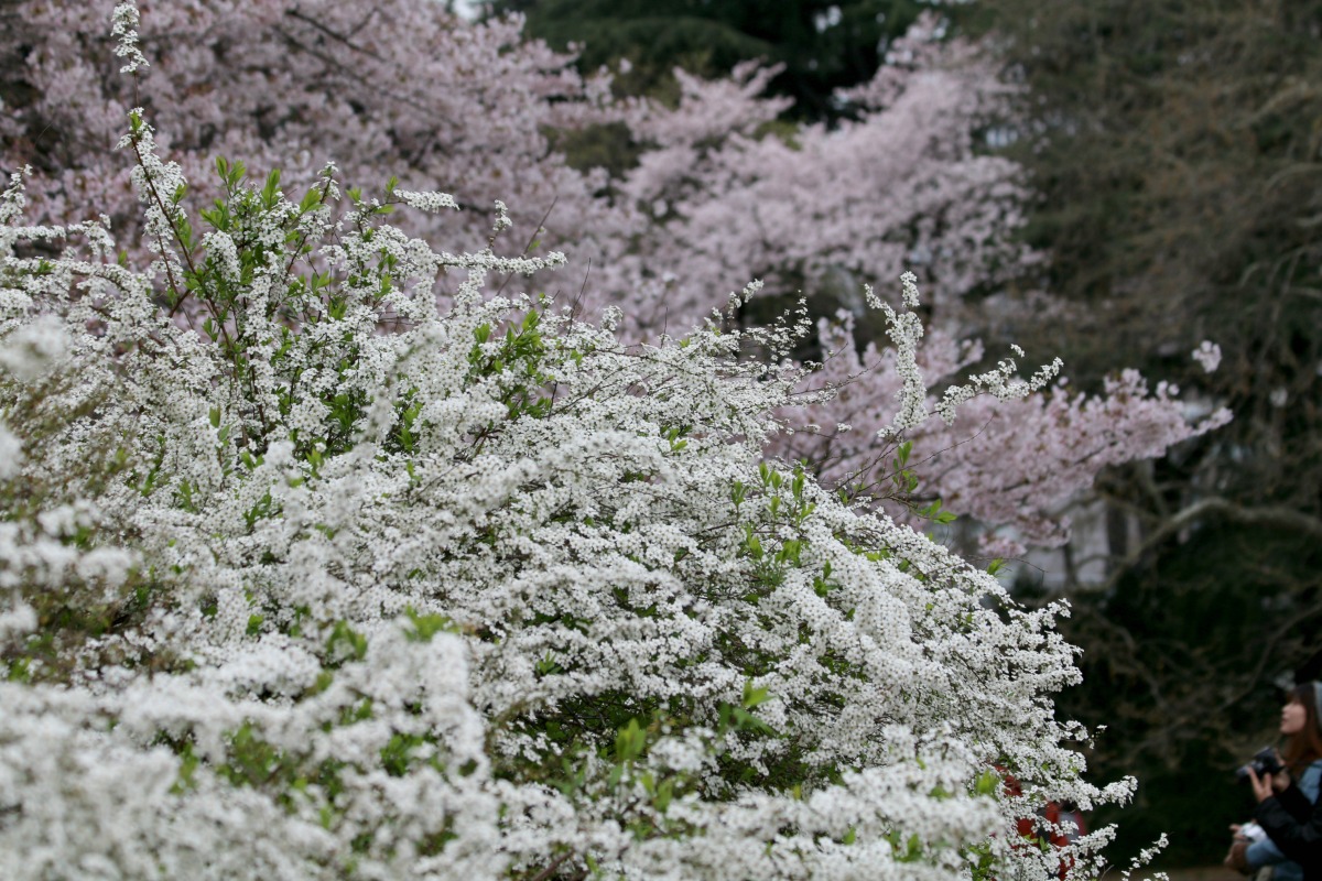a0127090_21163788.jpg
