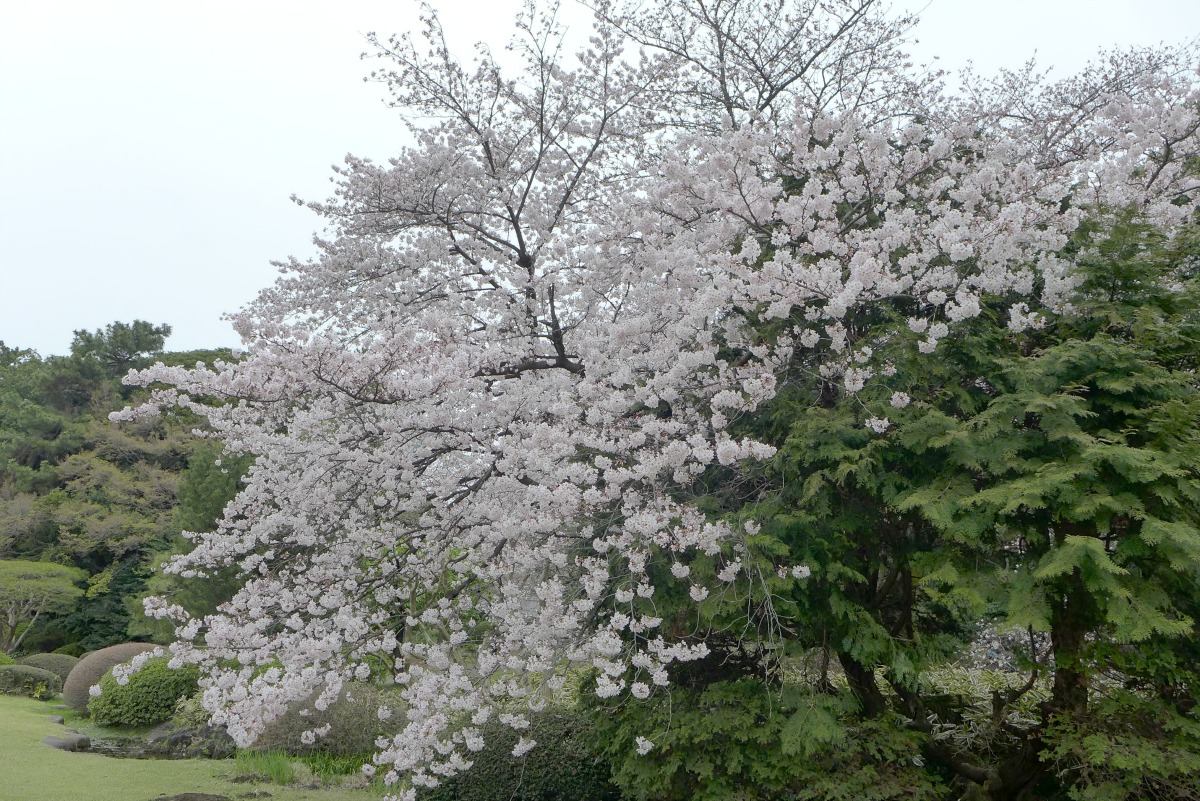 a0127090_21173071.jpg
