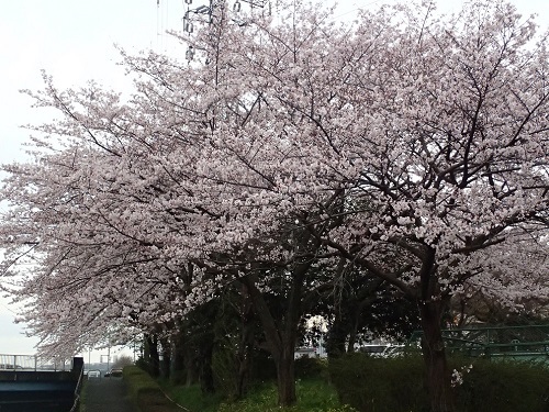 e0023790_21020124.jpg