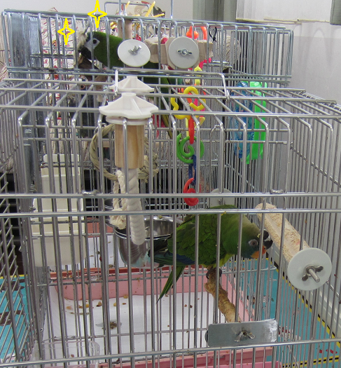 f0234590_1234362.png