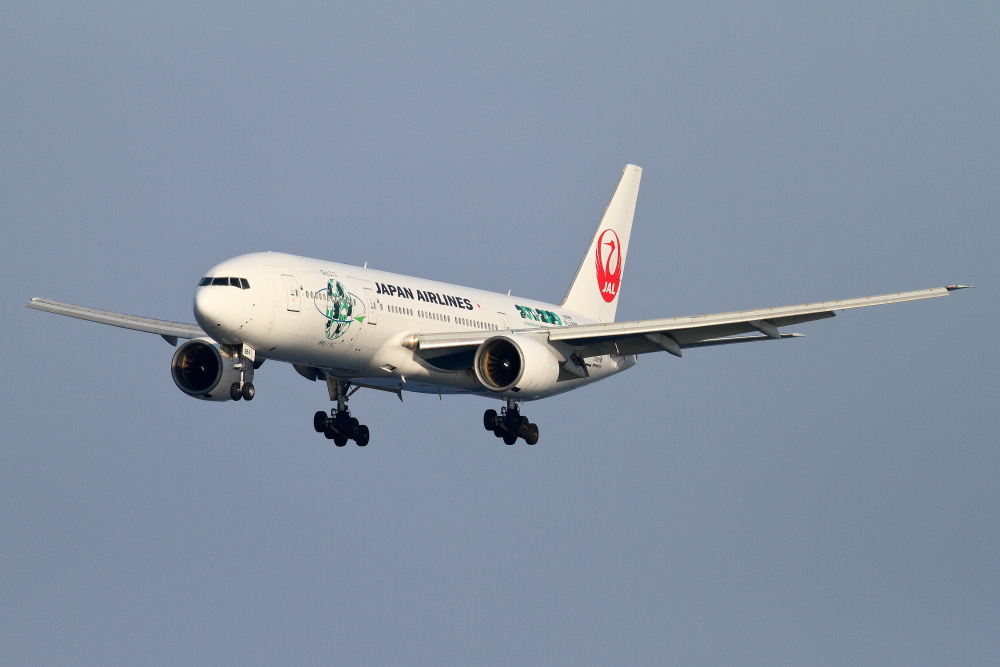 e0204891_2015188.jpg