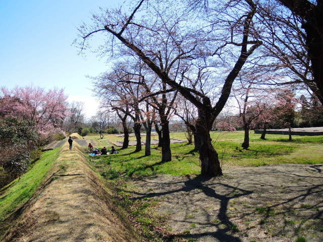 f0100593_16125048.jpg