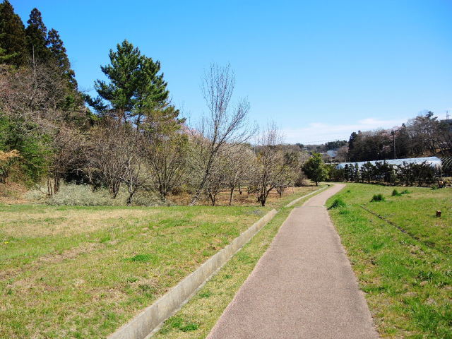 f0100593_16130286.jpg