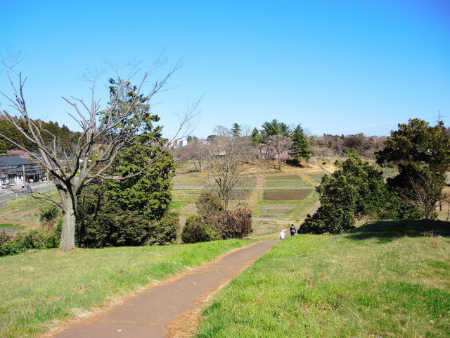 f0100593_16131972.jpg