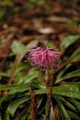 a0061599_871019.jpg