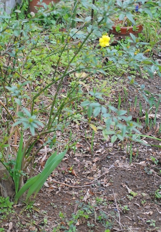 e0025300_10314688.jpg