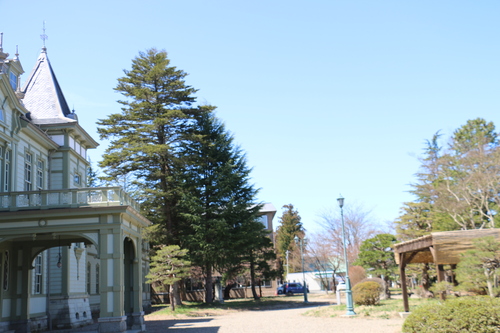 c0075701_1631054.jpg