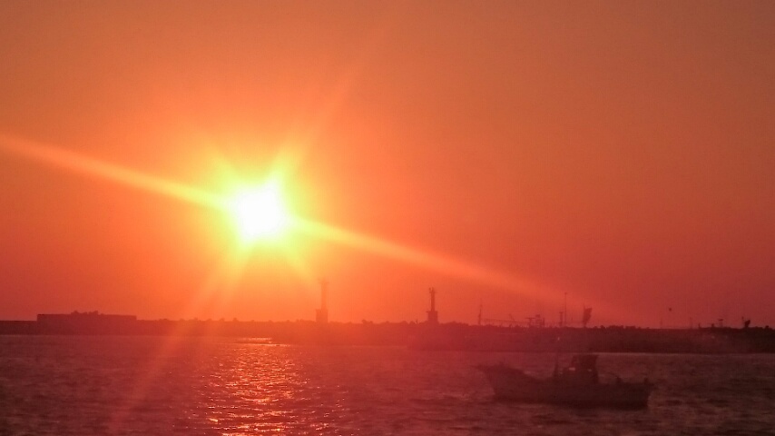 d0149105_1813865.jpg